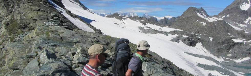 Zermatt - Chamonix, Dzień 9 (Cabane de Prafleuri - Cabane de Mont Fort)