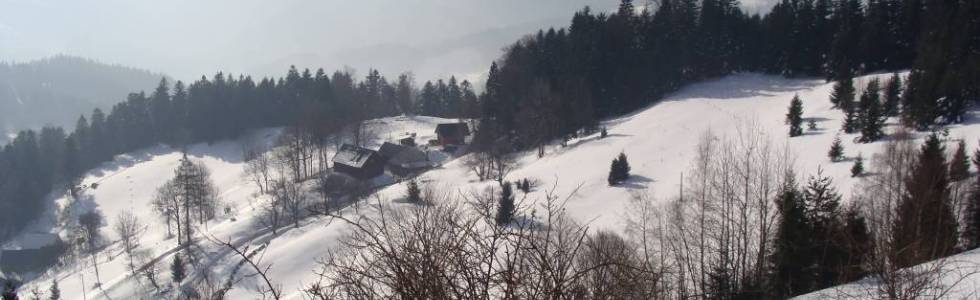 Beskid Sądecki luty 2015r. dzień 5a (Z Niemcowej do Piwnicznej).