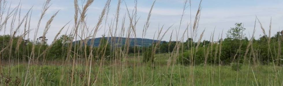 Ciekoty-Krajno Zagórze-Krajno Pierwsze-Góra Wymyślona-Ciekoty