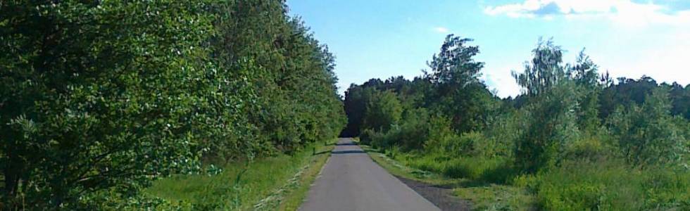 Trasa rowerowa Mielec i okolice  Trasa Nr.29 Lasami do Trzciany i Rydzowa