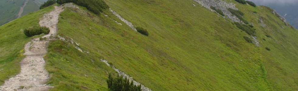 Zakopane/Kościelisko(Kiry)-Schronisko na Hali Ornak-Ornak-Siwe Skały-Siwa Polana-parking