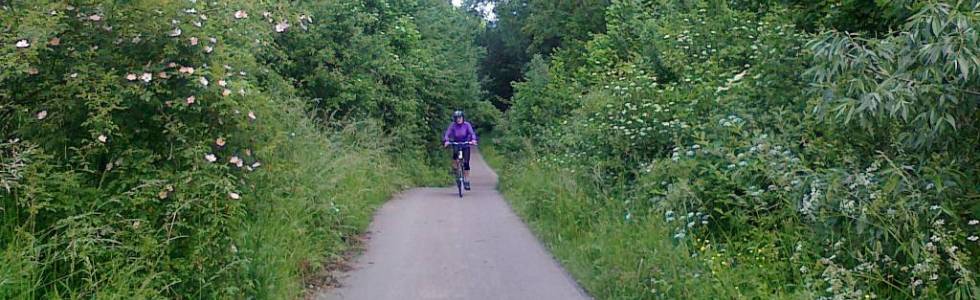 Trasy rowerowe Mielec i okolice Besko Trasa Nr.2