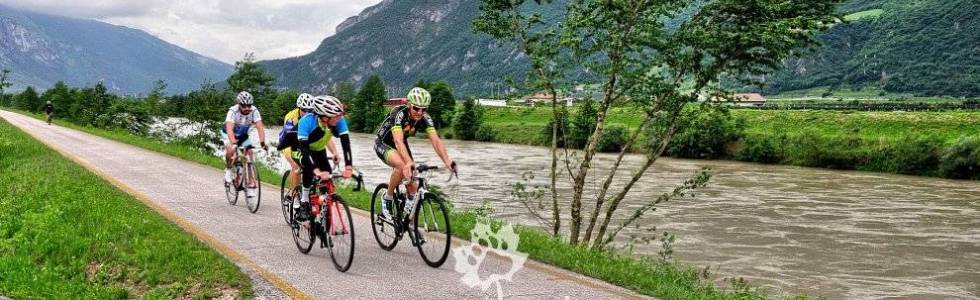 Włochy rowerem. Alpy, Dolomity, Trentino