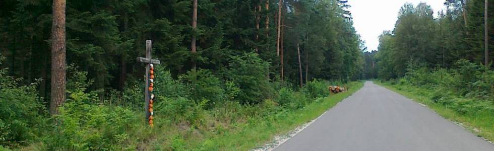 Trasy rowerowe Mielec i okolice  Trasa Nr.21  Do Parku Historycznego Blizna