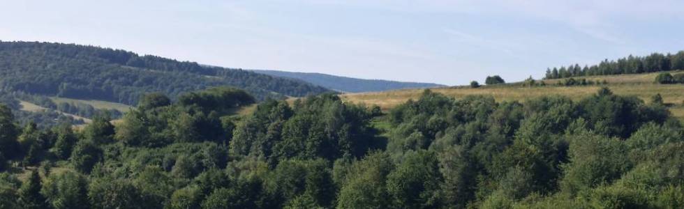 EX199-31km-7g-beskid-niski-kopa-przymiarki-cergowa-mogila