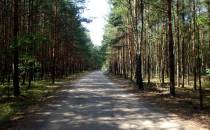 droga Koszęcin - Piłka
