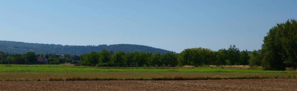 Rzeszów - Siedliska - Boguchwała