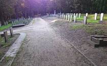 Zabytkowy cmentarz Powstańców Wielkopolskich