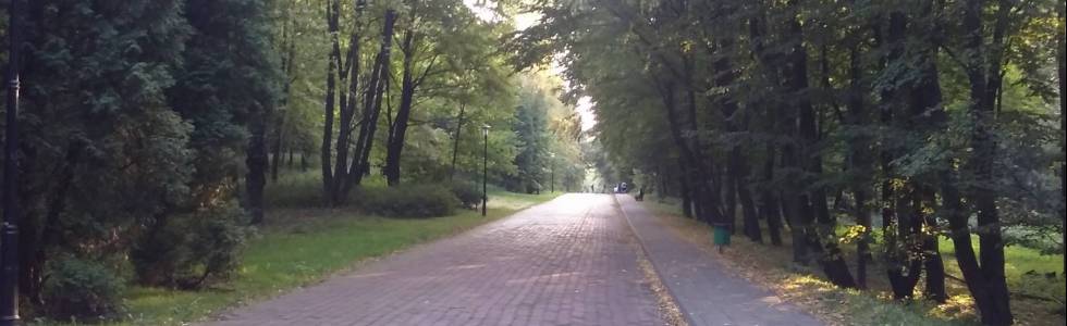 Popołudniowy trening po parku