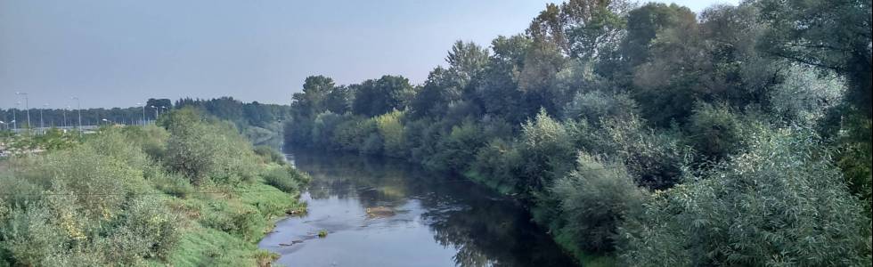 Takie tam błądzenie po okolicach Trzebowniska, Medyni Głogowskiej i Czarnej