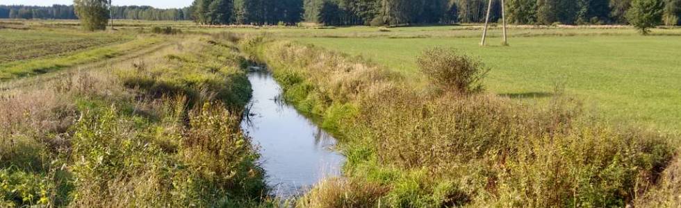 Spływ kajakowy Liswartą: Lisów - Stasiowe, zwałka