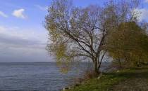 jezioro goczałkowickie