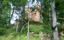 Ruiny zamku Henryka