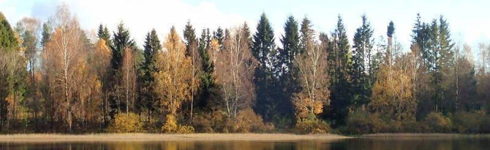 Wędrówka przez Bieszkowickie Moczary