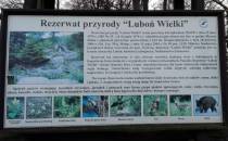 Rezerwat przyrody Luboń Wielki