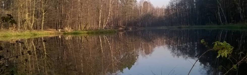 Przedpołudniowa przejażdżka