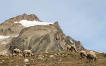 Col de la Seigne