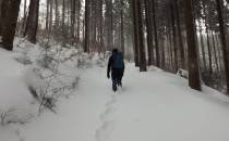 Trudy chodzenia w głębokim śniegu