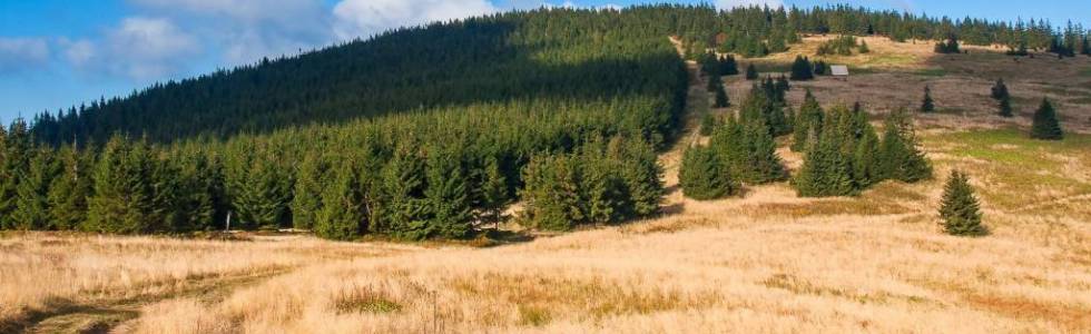 Beskid Żywiecki dla biegaczy