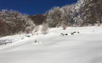 Jedna z kilku polan poniżej granicy lasu