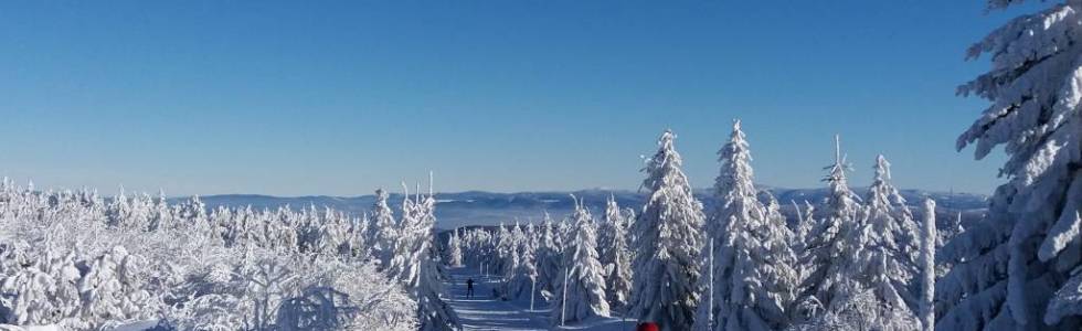 Orlicke Zahorzi, Velka Destna 2017/1/19 10:40