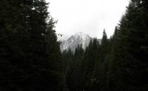 Droga na Morskie Oko