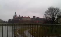 wawel