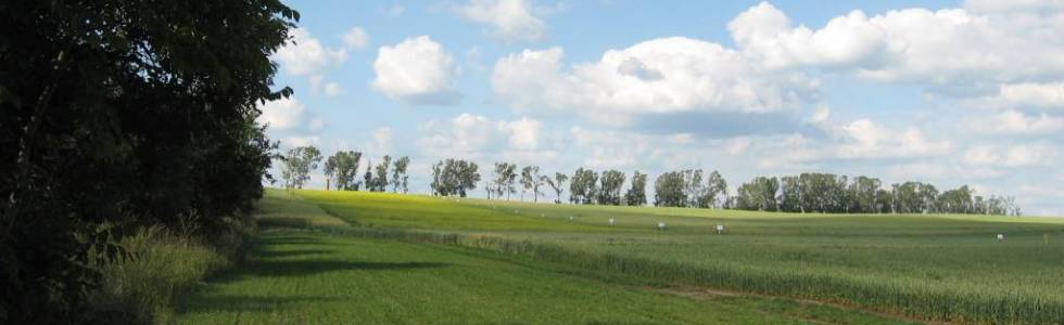 Rowerem za Gorzów