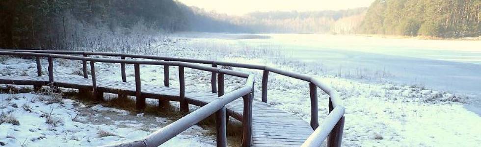 Wędrówka po zakamarkach Parku Narodowego Borów Tucholskich