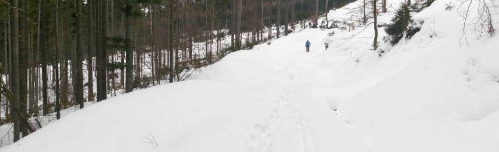 Przegibek - Abramów-czerwonym szlakiem na Przegibek