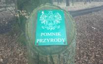 POMNIK PRZYRODY