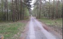 Trasa rowerowa Nowy punkt obserwacyjny w lesie 3