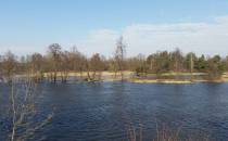 punkt widokowy na Narew