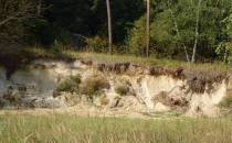 Huta Lubycka - stara piaskownia z piaskami mioceńskimi