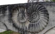 Kadzielnia - wielki holoceński amonit