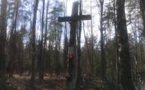 Krzyż w Panewnickim lesie