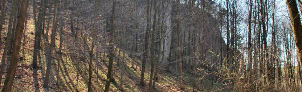 WYŻYNA KRAKOWSKO-CZĘSTOCHOWSKA - Wąwóz Ostryszni i Dolina Dłubni