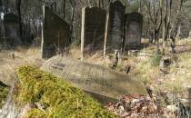 cmentarz żydowski w Aninie