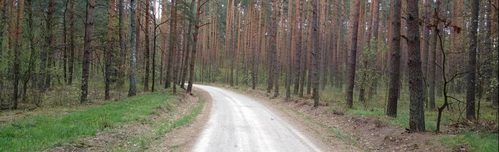 szlak puszczy solskiej niebieski