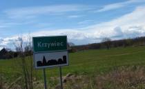 Krzywiec