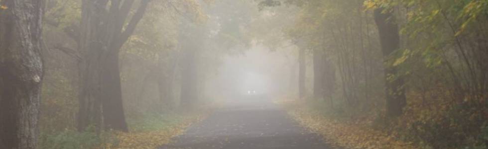 We mgle przez Puszczę Zielonka