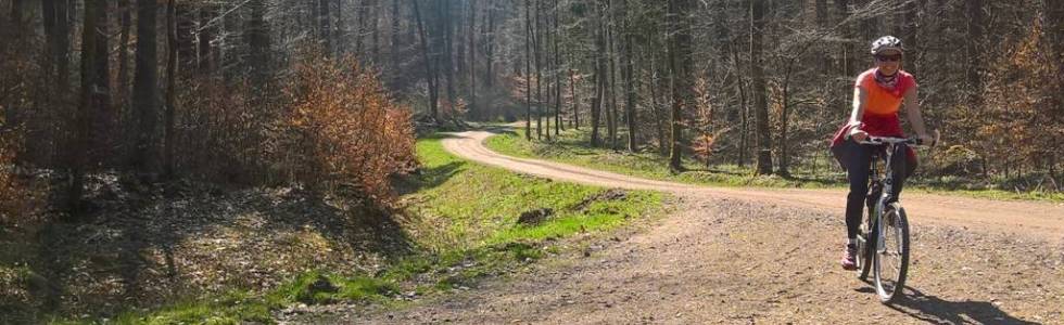 Chełm - Lasy oliwskie - powrót ścieżką nadmorską