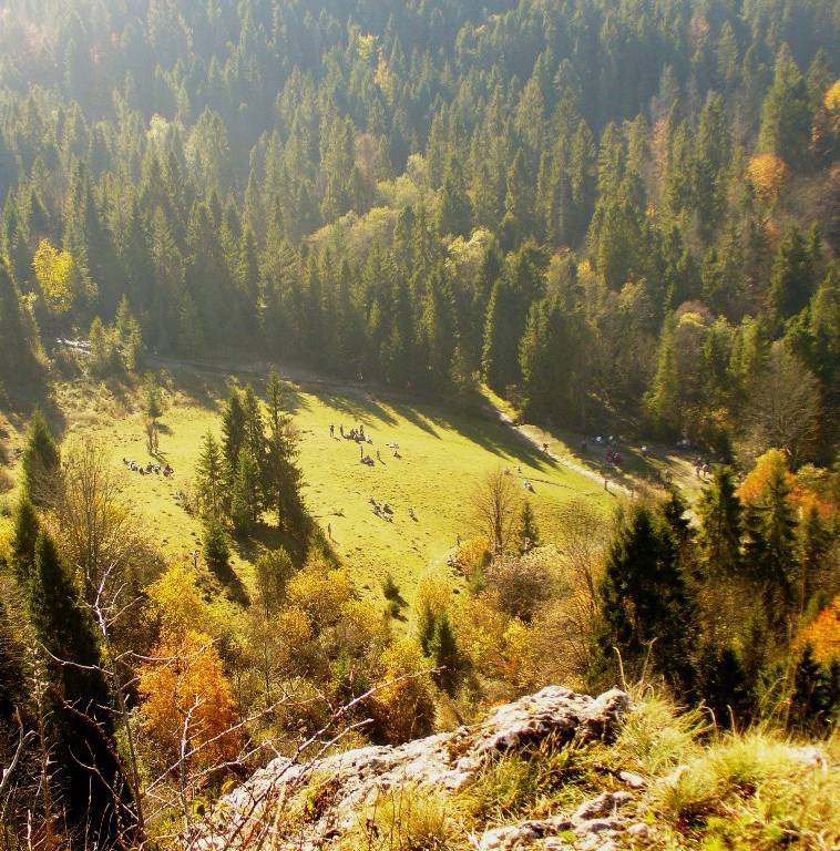 Trasy Trekkingowe Pieniny Jaworki Homole Wysoka Rezerwat Bia a trasy-trekkingowe-pieniny-jaworki-homole-wysoka-rezerwat-bia-a