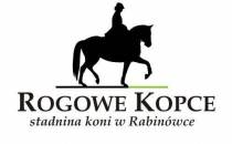 Stadnina Rogowe Kopce