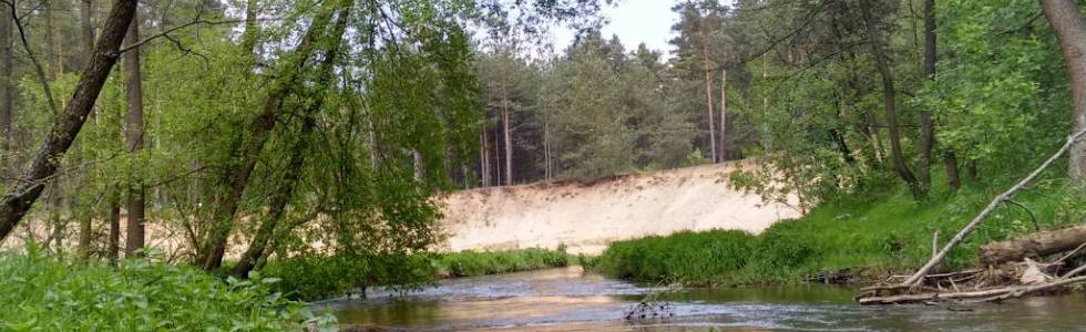 Mini spływ Kocinką - Kuźnica most - meander tzw: Złote Oko Kocinki