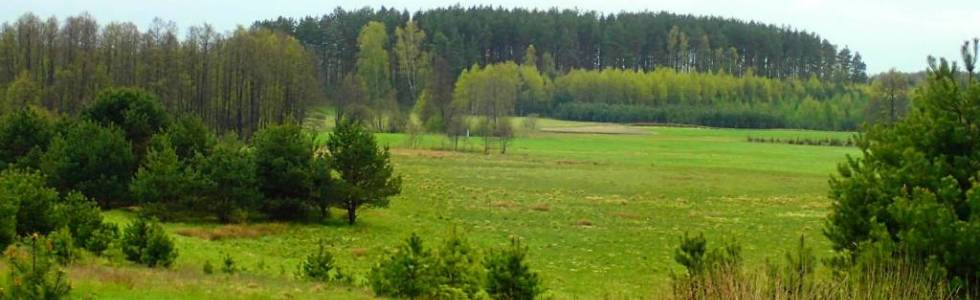 Pętelka po lasach w okolicach Kościerzyny