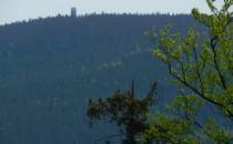 Borówkowa Góra wieża widokowa