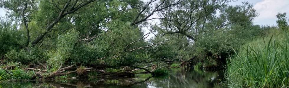 Spływ Wartą - odcinek Mirów - Garnek