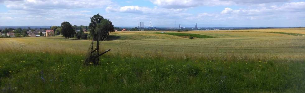 Kędzierzyn-Koźle - aleja Róż 30-46