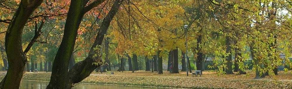 Nad Brdą i Kanałem Bydgoskim - rowerem po Bydgoszczy